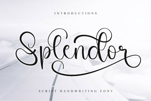 Choosing Splendor: A Font That Transforms Your Brand's Visual Story