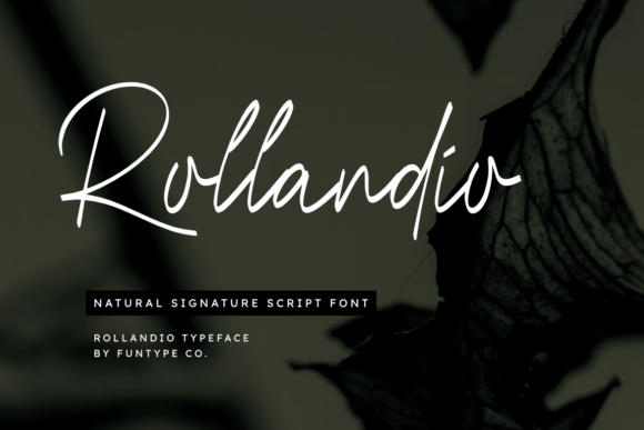 Rollandio: An Editorial Script Font for Elegant Communication