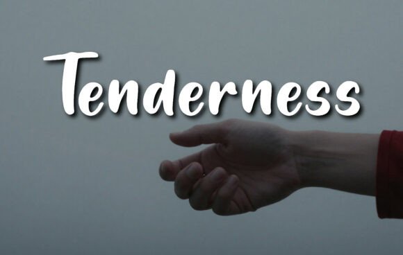 Tenderness: A Welcoming Handwritten Font for Building Your Brand